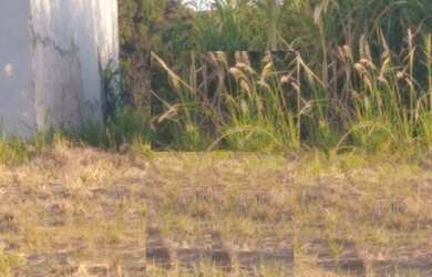 Imagem 1: Terreno à venda, 200 m² por R$ 275.600,00 - Jardim Moriyama - Indaiatuba/SP