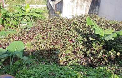 Imagem: O terreno possui 250m² de Área e está localizado em Vila