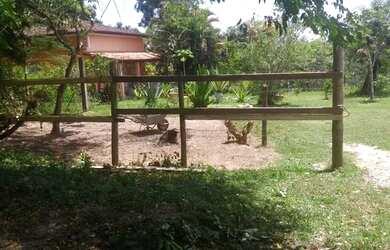 Imagem 1: Sitio a venda. Piscina, Varandae60.000m² de Área