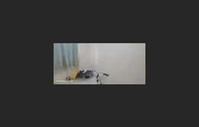 Imagem 4: Imóvel para venda em Trindade - São Gonçalo - RJ