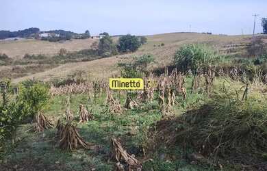 Imagem 4: VENDA - ÁREA RURAL COM 2,5 HECTARES SANTA LUCIA