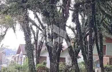 Imagem 7: terrebo de esquina com 1084m² Canela