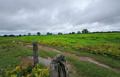 Imagem 9: Fazenda a venda, em Mundo Novo - Goiás