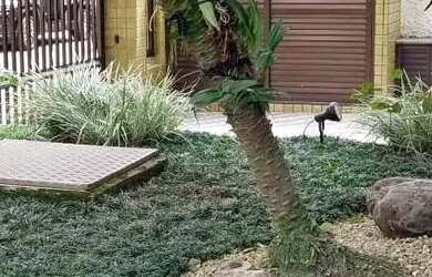 Imagem 5: Apartamento para Locação em Santos, Boqueirão, 2 dormitórios, 1 banheiro,...