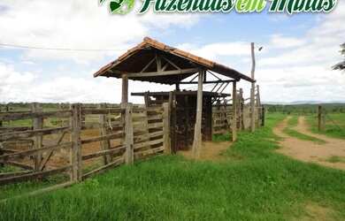 Imagem: A fazenda possui 1910000m² de Área e está localizado em Jardim