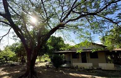 Imagem: A chácara possui 5.000m² de Área e está localizado em Alto