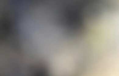 Imagem: A casa possui 3 Dormitórios, 2 Banheiros, 3 Vagas na garagem