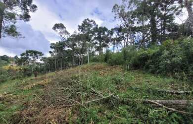 Imagem: O terreno possui 1.400m² de Área e está localizado em Campos