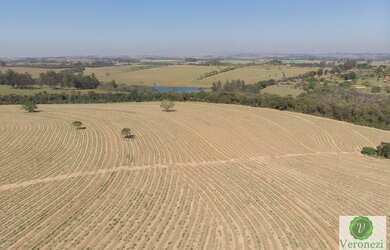 Imagem 1: Ótima fazenda a venda próxima a Rodovia Castelo Branco em Porto Feliz