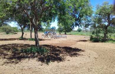 Imagem 3: Fazenda 18 hectares