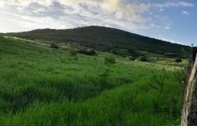 Imagem 4: Terreno a venda. 