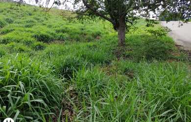 Imagem 6: Terreno à venda, 450 m² por R$ 170.000 - Jardim Alto de Santa Cruz -...