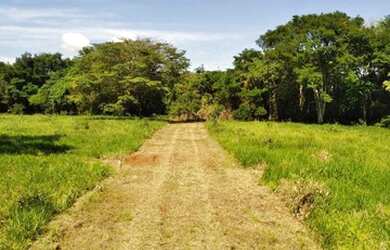 Imagem: O terreno possui 1.000m² de Área e está localizado em Nova