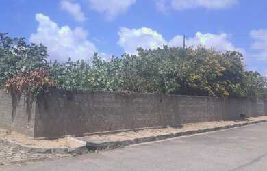 Imagem: A fazenda possui 5.000m² de Área e está localizado em Igapó