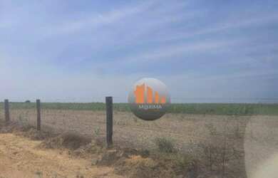 Imagem 4: Fazenda à venda, 840 alqueires por R$ 294.000.000 - São Miguel do Araguaia/GO