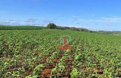 Imagem 2: Fazenda à venda 62 Alqueires por R$ 20.500.000 - Bela Vista do Paraíso/Paraná