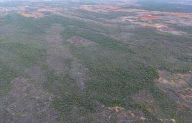 Imagem 6: Fazenda/Sítio/Chácara para venda com 310 ha em - São Gabriel - BA