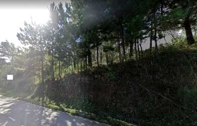 Imagem 3: CAXIAS DO SUL - Terreno Padrão - SAGRADA FAMÍLIA