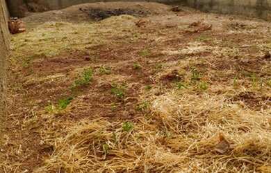 Imagem: O terreno possui 225m² de Área e está localizado em Bom