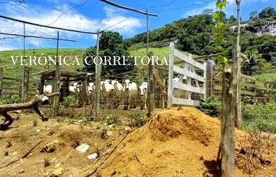 Imagem 16: Ótima fazenda à venda em São João Nepomuceno MG