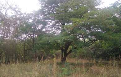 Imagem: O terreno possui 1.000m² de Área e está localizado em Jaboticatubas