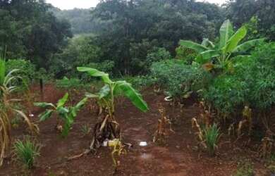 Imagem 8: Chacara jardim são jose