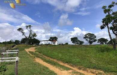 Imagem 7: Fazenda em Juscimeira à venda, 5020000 m² por R$ 6.000.000 - Zona Rural...