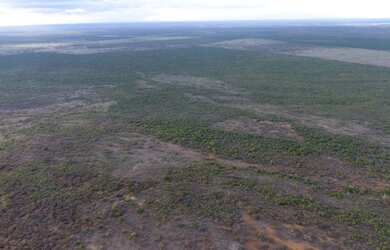 Imagem 5: Fazenda/Sítio/Chácara para venda com 310 ha em - São Gabriel - BA