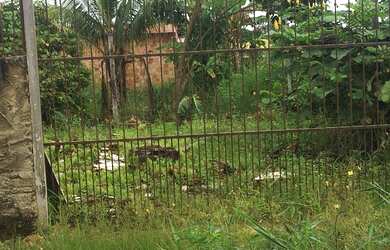 Imagem: O terreno está localizado em São Francisco, Porto Velho à