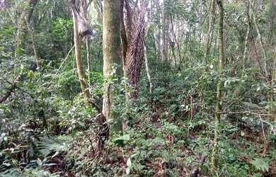 Imagem: A fazenda possui 48.000m² de Área, Churrasqueira e está