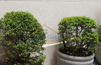 Imagem 3: Apartamento Padrão - Ribeirão Preto - Presidente Médici