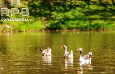 Imagem 14: Terreno em Condomínio à Venda - Estância Parque Atibaia - Atibaia -...