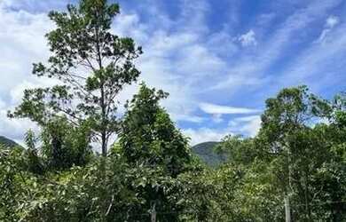 Imagem 7: Terreno / Lote 360m² - Siméria