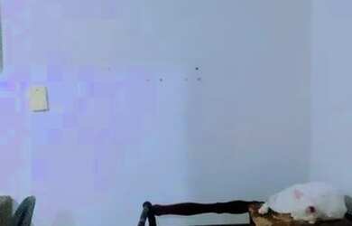 Imagem: A casa possui 2 Dormitórios, 1 Banheiro, 66.666m² de Área