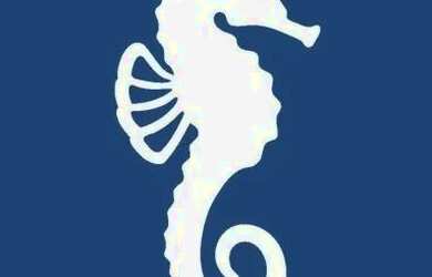 Imagem 4: Apartamento com 1 dormitório à venda, 29 m² por R$ 310.000 - Jardim...