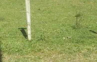 Imagem: O terreno possui 2.500m² de Área e está localizado em Imaruí