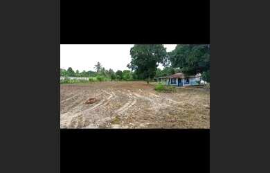 Imagem 4: Vendo chácara em São Cristóvão