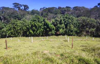 Imagem: O terreno está localizado em Centro, Guarulhos à venda por
