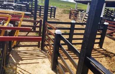 Imagem 8: Fazenda Cocalzinho. 20m² de Área