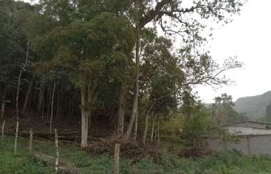 Imagem 1: Oportunidade 3 mil mts 57 mil reais