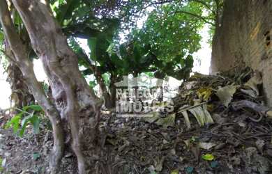 Imagem 2: Terreno à venda, 300 m² por R$ 275.000,00 - Jardim Martinelli Sousas...