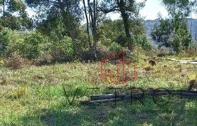 Imagem 3: Terreno à Venda em Canela
