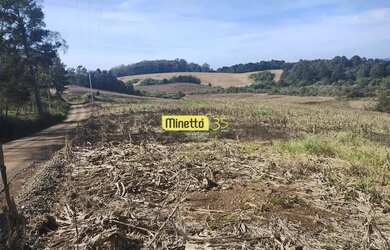 Imagem 6: VENDA - ÁREA RURAL COM 2,5 HECTARES SANTA LUCIA