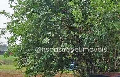 Imagem 3: Terreno à venda, por R$ 525.000 - FAG - Cascavel/PR