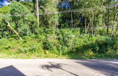 Imagem 10: TERRENO NA VILA SUZANA. 1.122m² de Área