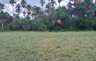 Imagem 2: Terreno para chácara. 58.888m² de Área