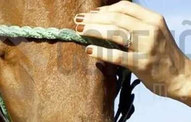 Imagem 4: Lote no Condomínio Fazenda Real Residence 1