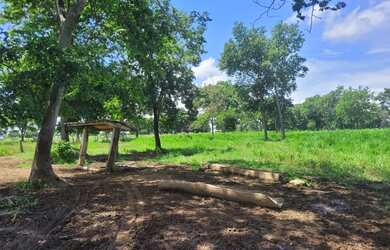 Imagem 6: Fagenda a Venda. 1.541m² de Área