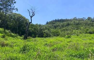 Imagem: O terreno possui 500m² de Área e está localizado em Saboó
