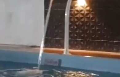 Imagem: A casa para alugar possui 1 Dormitório, 1 Banheiro, 5 Vagas